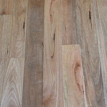 Solid-Timber-Flooring-Spotted-Gum-wide-feature-raw