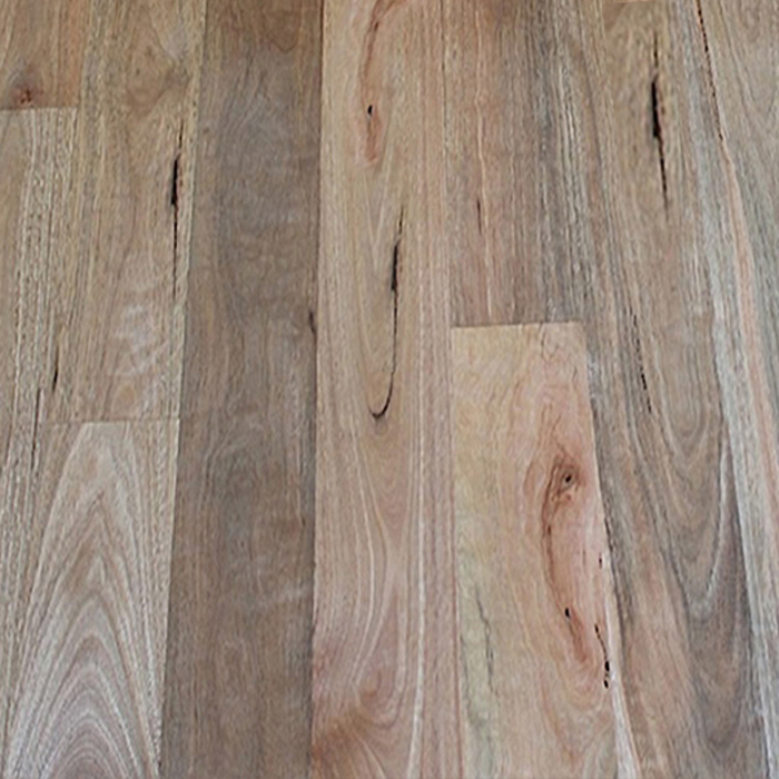 Solid Timber Flooring - Spotted Gum Feature 130x14mm - PRICE BY LINEAL METRE