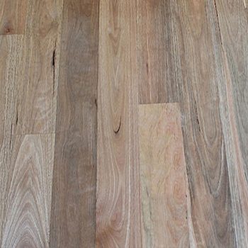 Solid-Timber-Flooring-Spotted-Gum-wide-std-better-raw