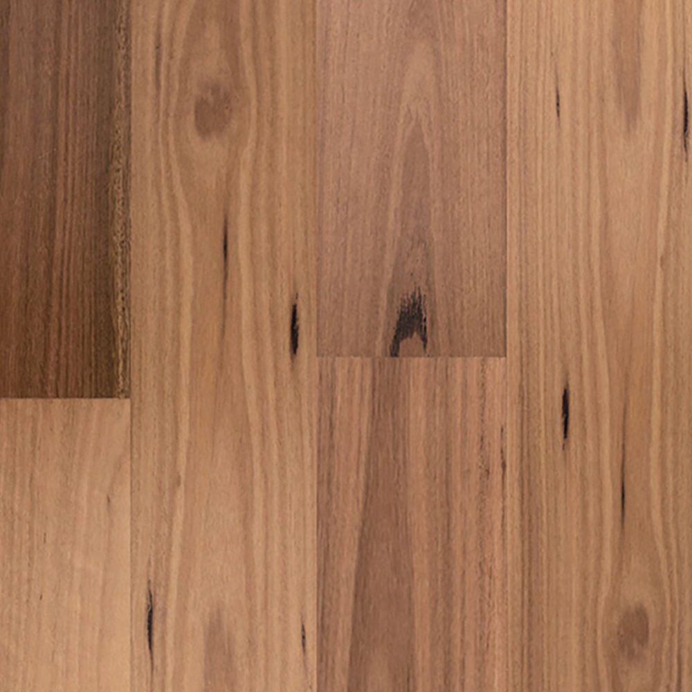 Engineered Timber Flooring - Blackbutt Smooth Matt 1820x135x13/2mm